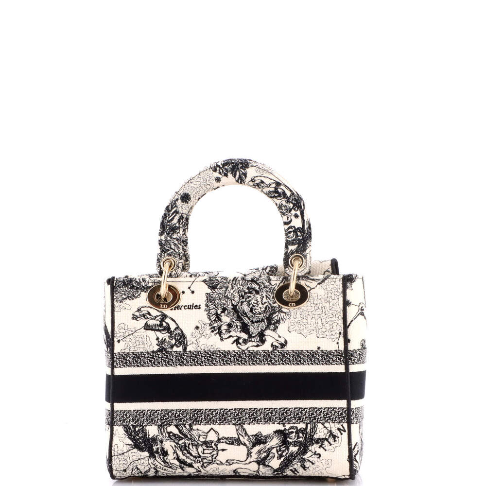 Christian Dior Medium Lady D-Lite Bag Embroidered Canvas - Picture 3 of 6